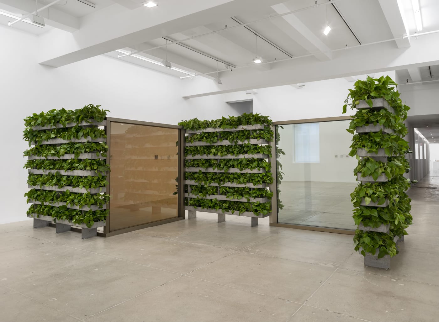Installation view of a pavilion by Dan Graham with mirrors and hedges installed at Marian Goodman Gallery New York